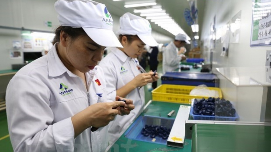Laos top recipient of Vietnam’s overseas investment
